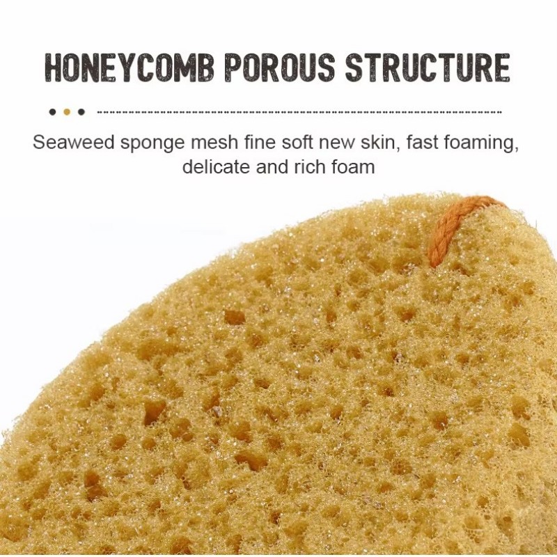 Alat pembersihan rumah profesional sponge sponge